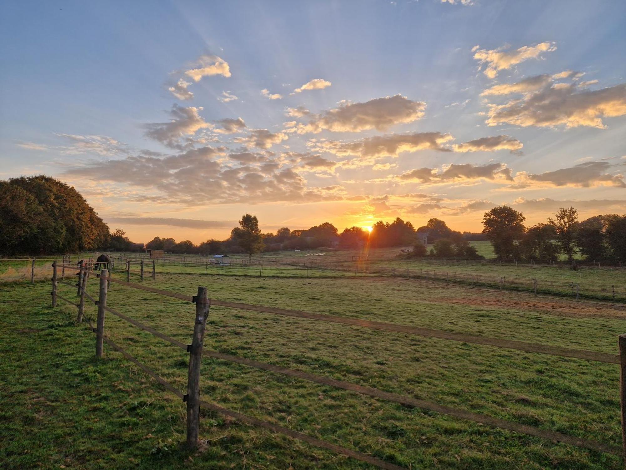 Habitat Bed & Breakfast Momignies Eksteriør bilde