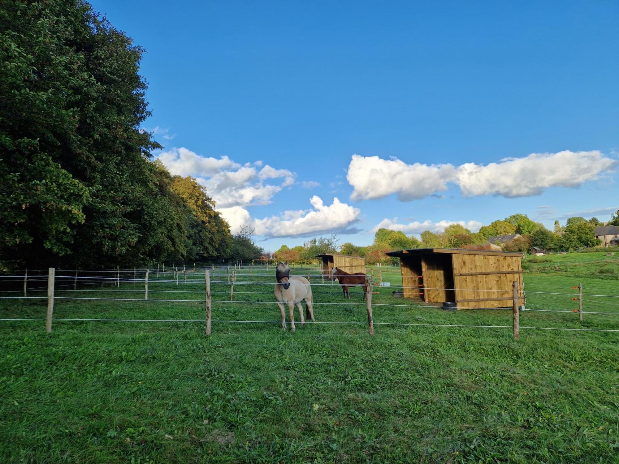Habitat Bed & Breakfast Momignies Eksteriør bilde